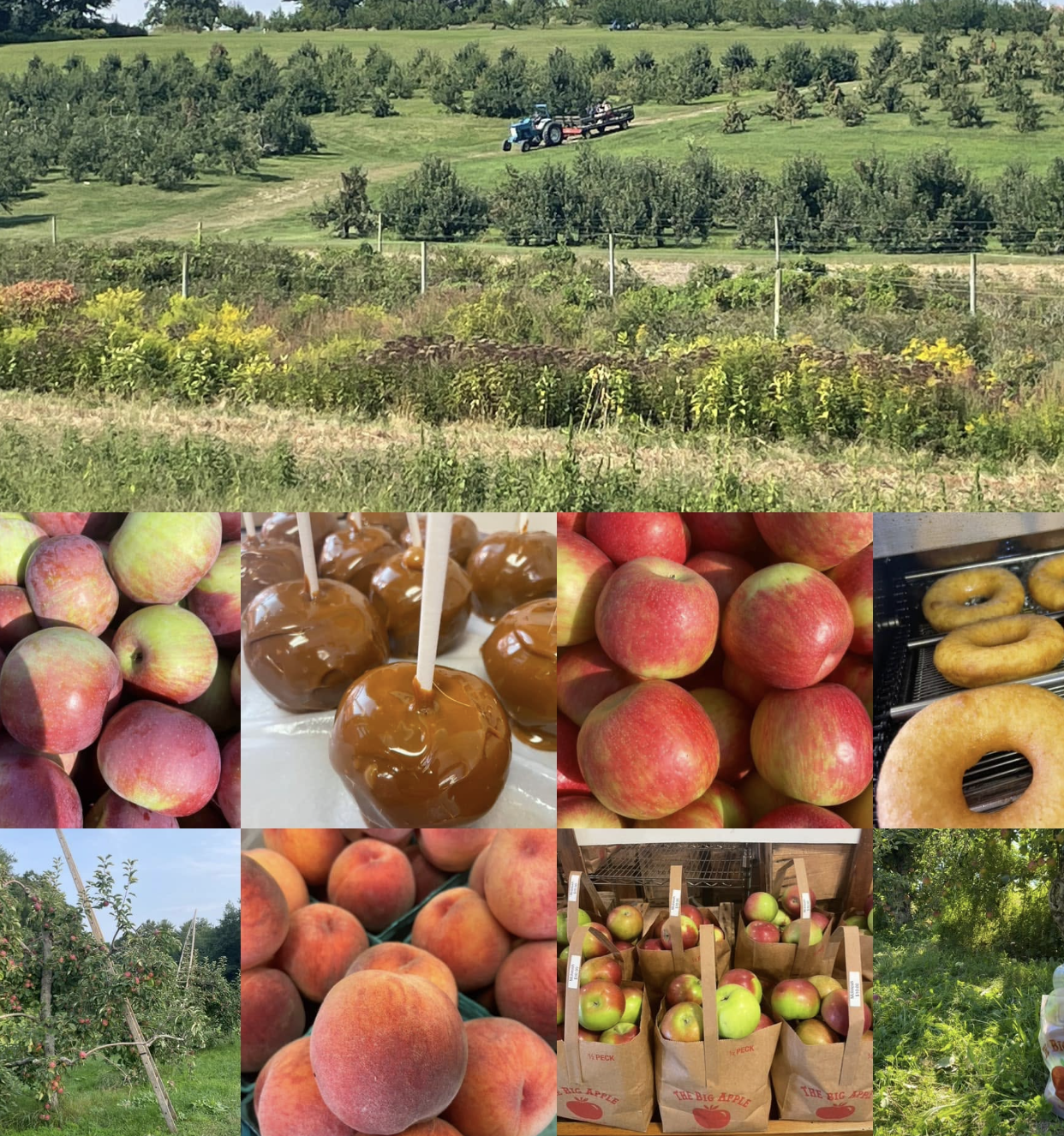 The Big Apple