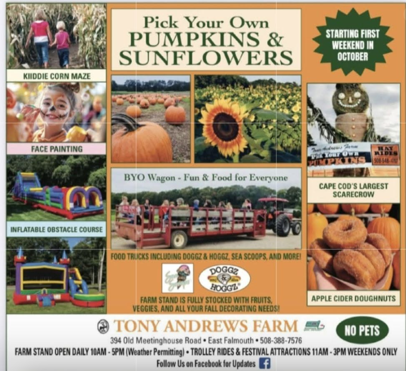 Fall Fun at Tony Andrews Farm