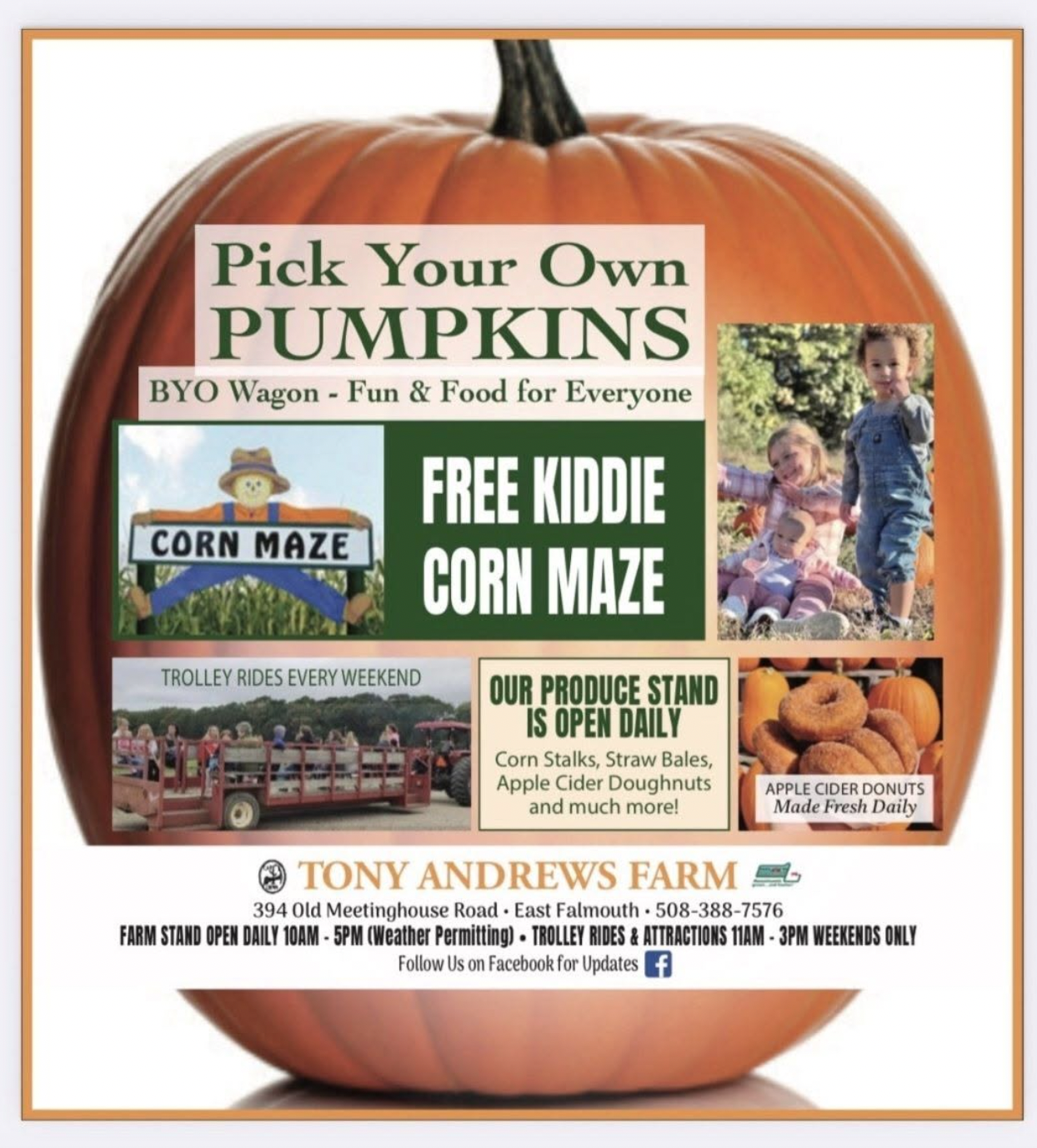 Fall Fun at Tony Andrews Farm