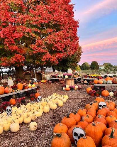 Brooksby Farm