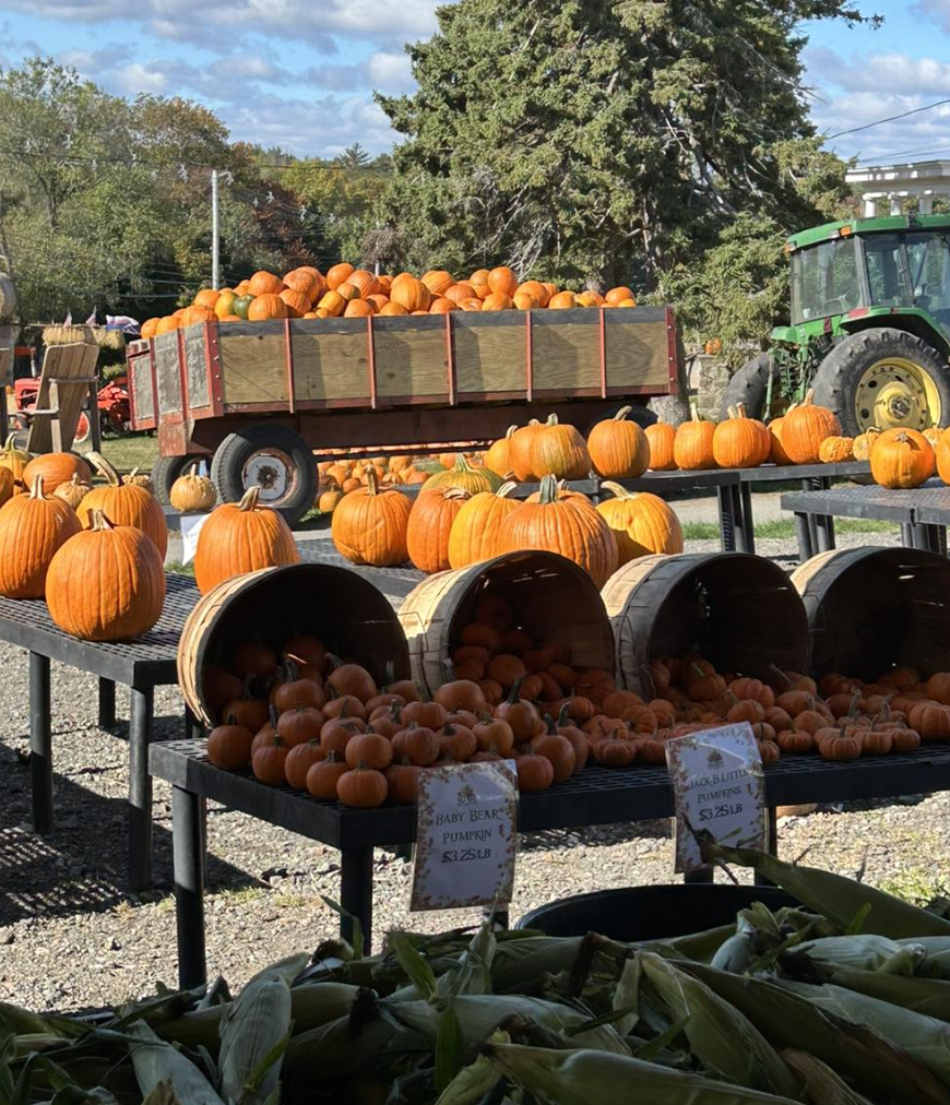 Marini Farm