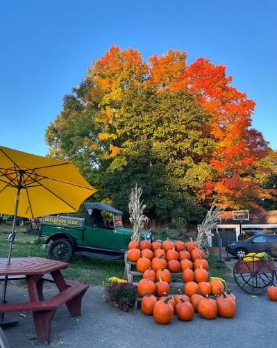 Shelburne Farm